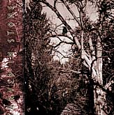 Carved in Stone "The forgotten belief"