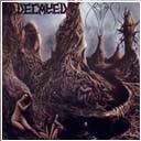 Xerión "Na Mística Procura De Amh-Ghad-Ari"