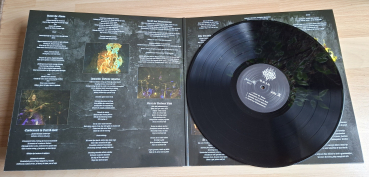 Asaru "V.O.I.D." LP (black)