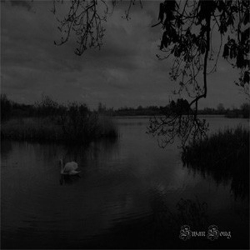 Lykauges "Swan Song"
