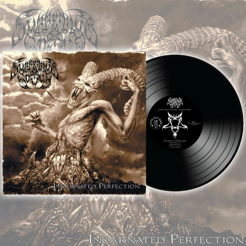 Suffering Souls "Incarnated Perfection" LP (black)