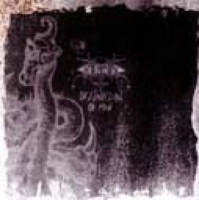 Svartsyn "Destruction of Man"